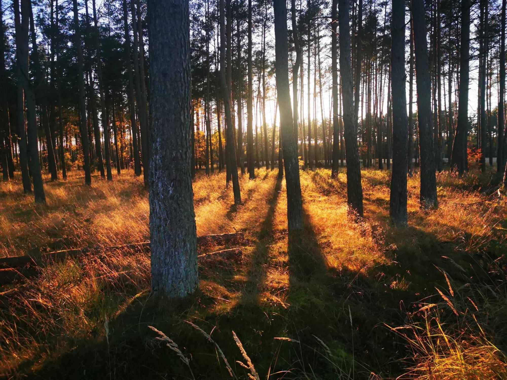 Mlynska Dolina Villa Wałcz Kültér fotó